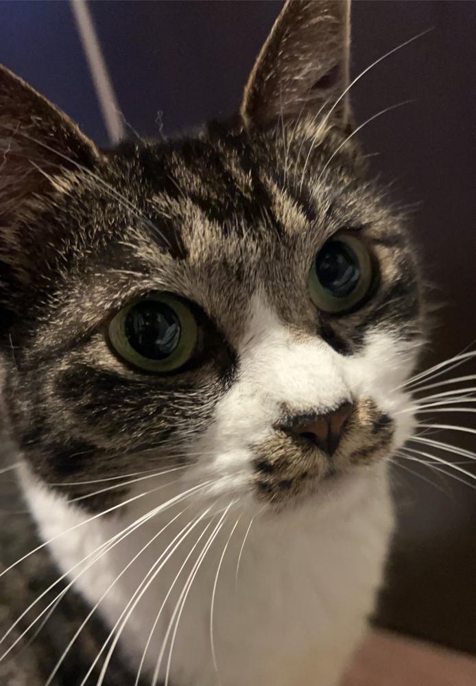 本日◯◯出勤です