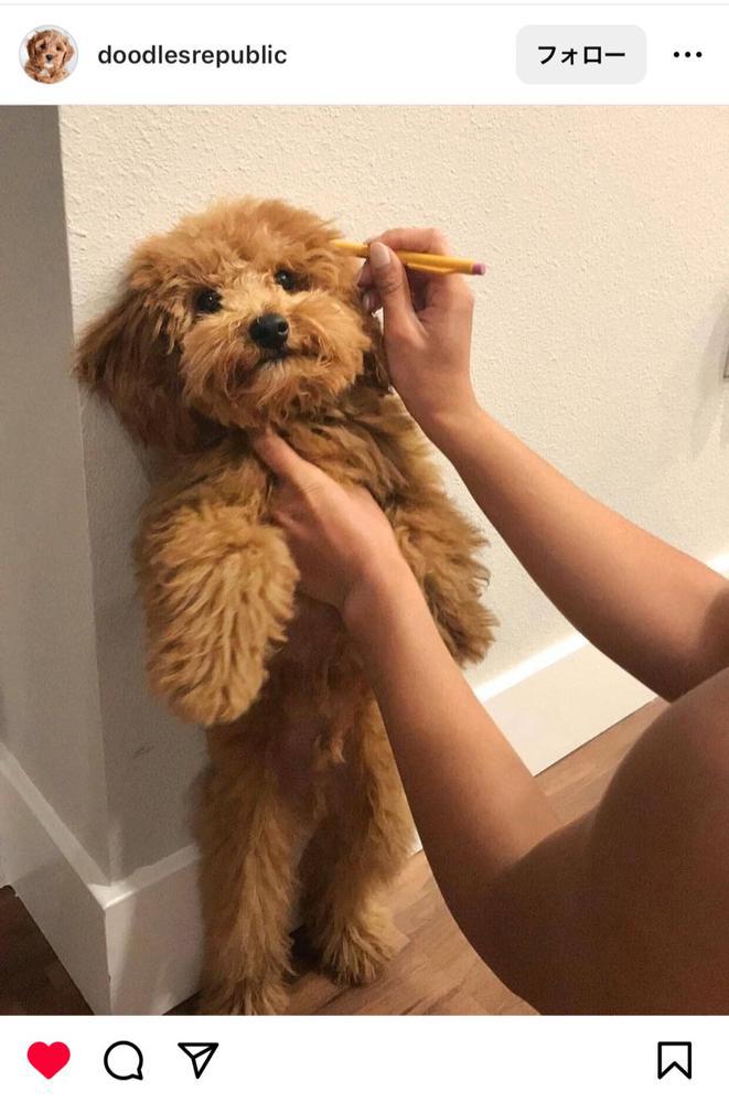 きた瞬間バタバタ