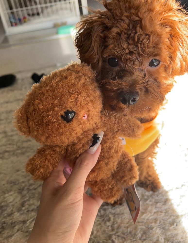 バッドはいった