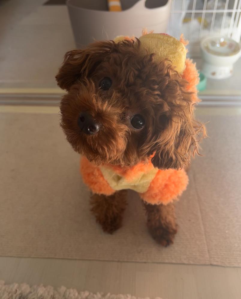 トリックオアトリート