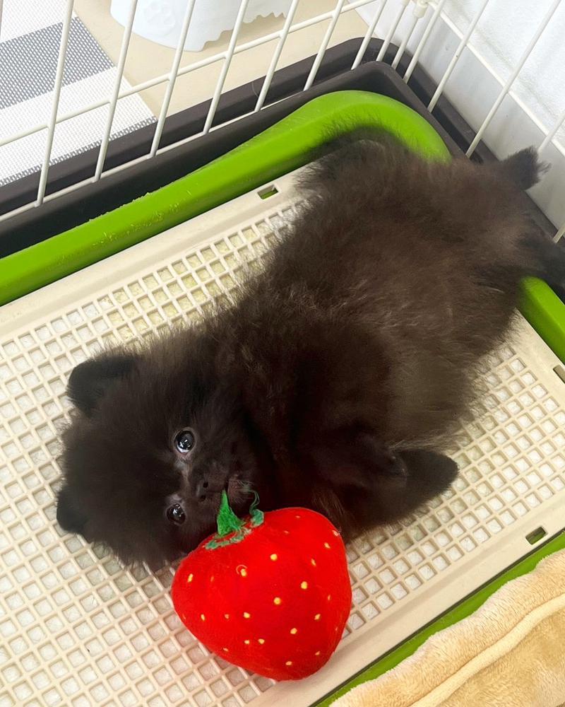 紹介します💕💕