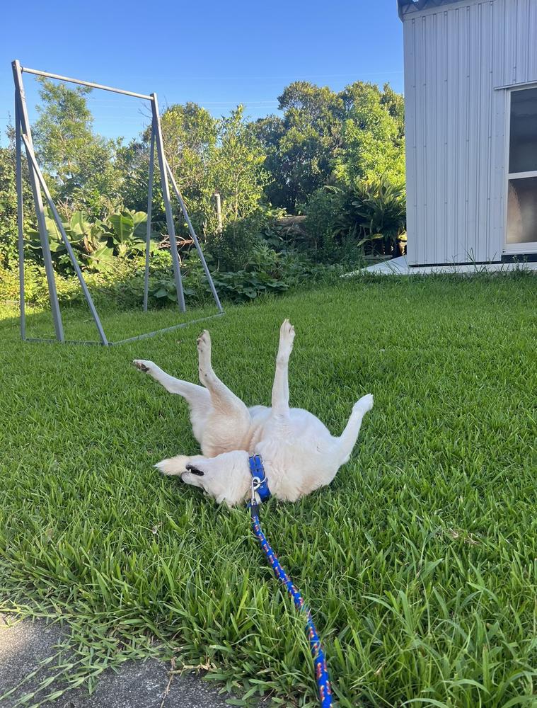 20時〜ラスト★