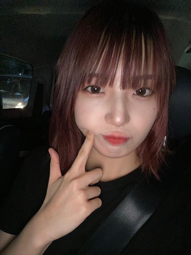 今日はお休み〜