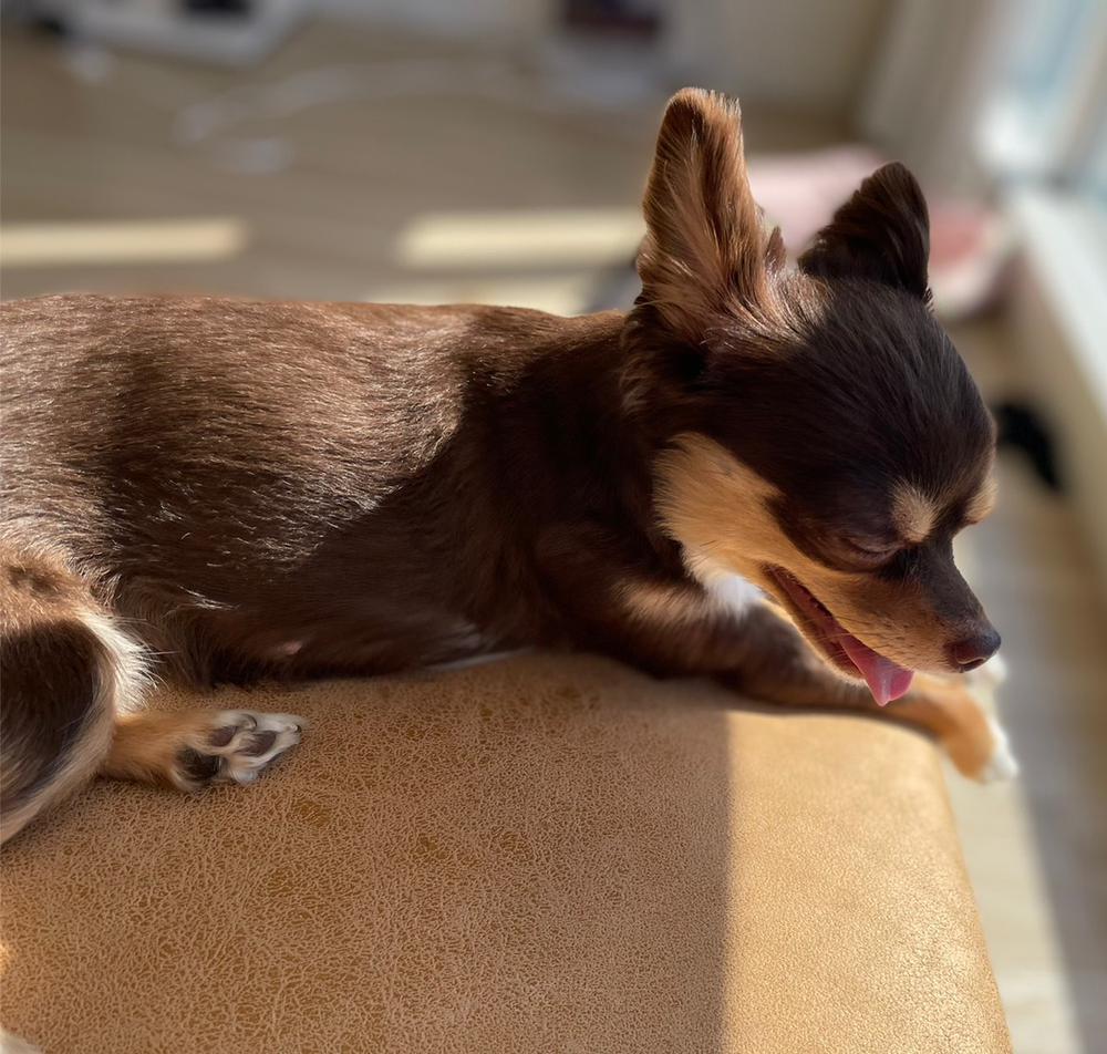 ❤️‍🔥❤️‍🔥❤️‍🔥