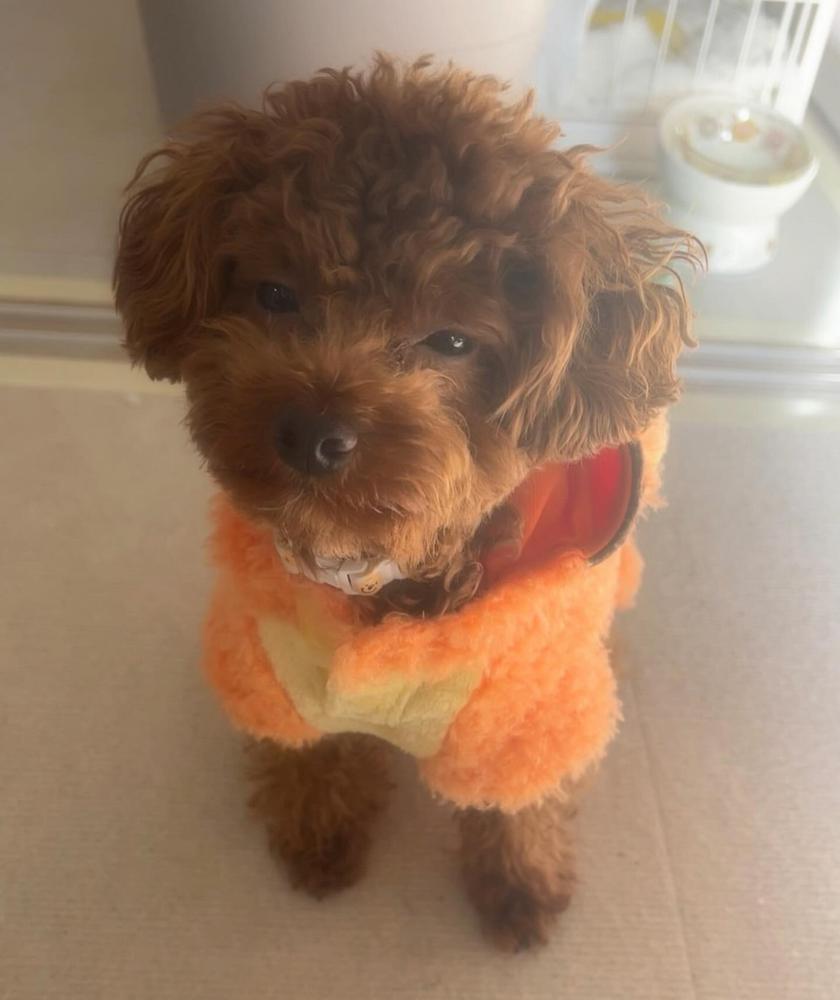 いつネイル行こうか迷う💅