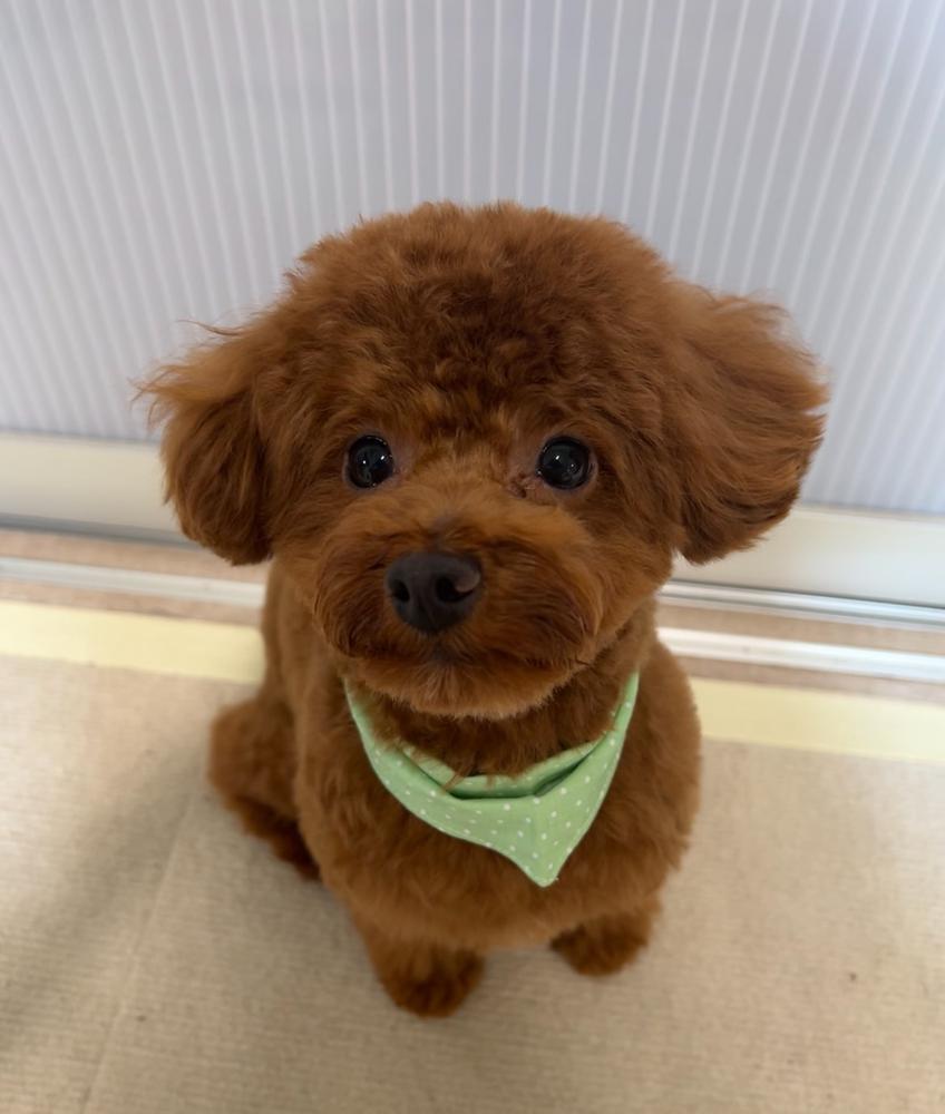 お休みの日だよ