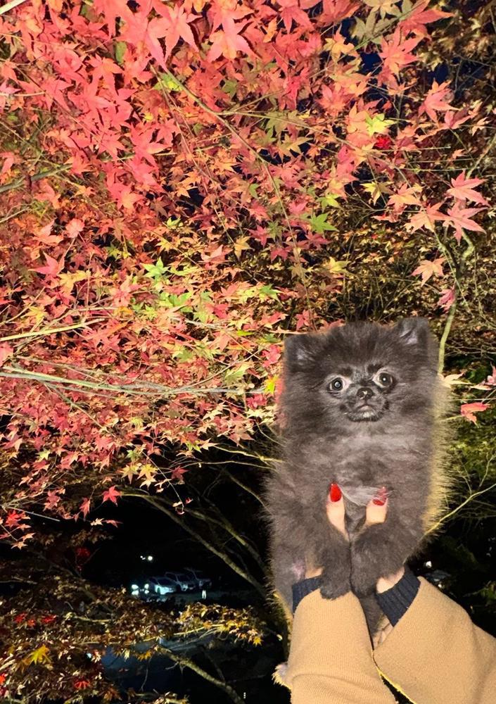 寒すぎて、、、😱