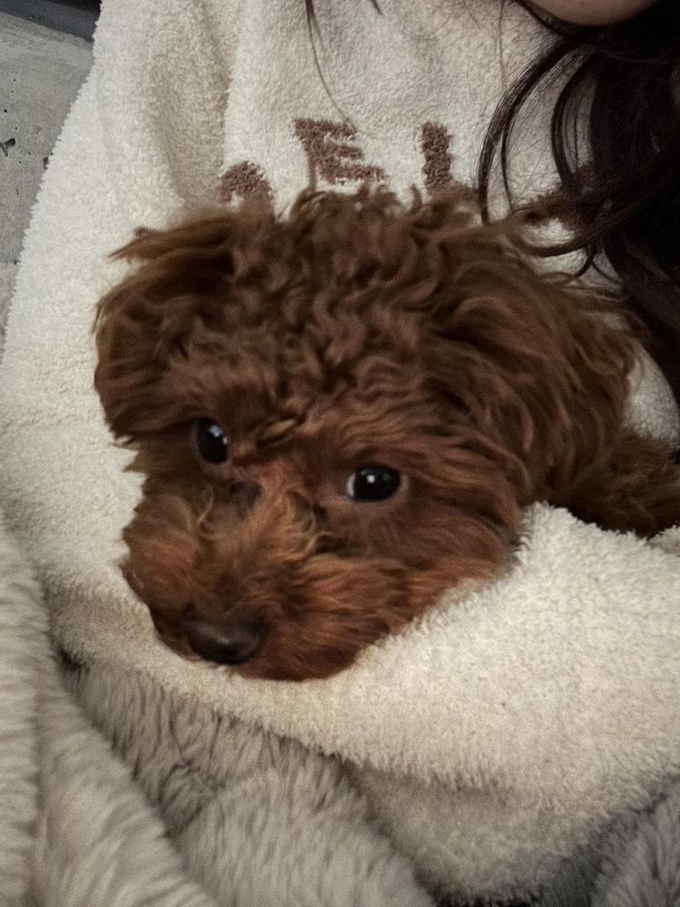 イライラ😆😆😆