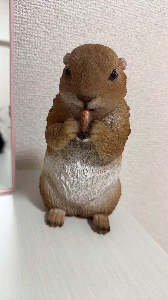 お家に新入りきたよ✨