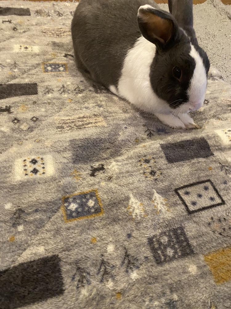 おもしろかった昨日