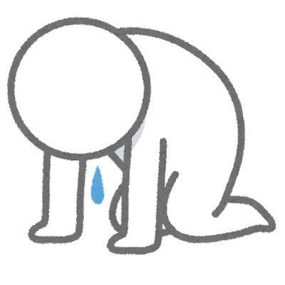 化粧ポーチなくした（ ｉ _ ｉ ）