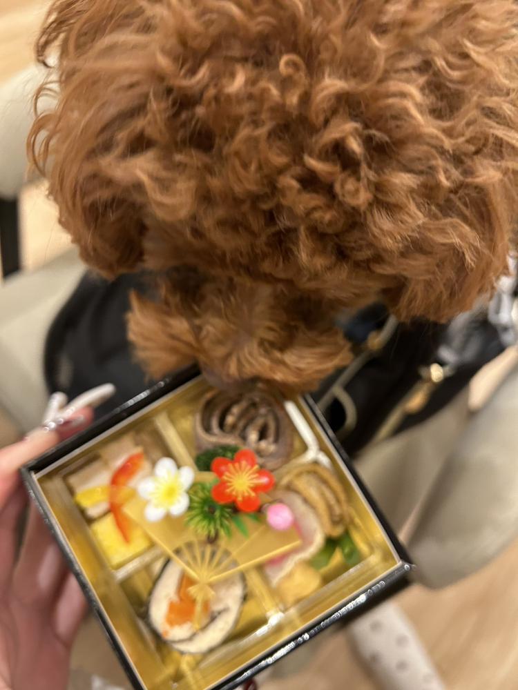 あけましておめでとうございます🎍