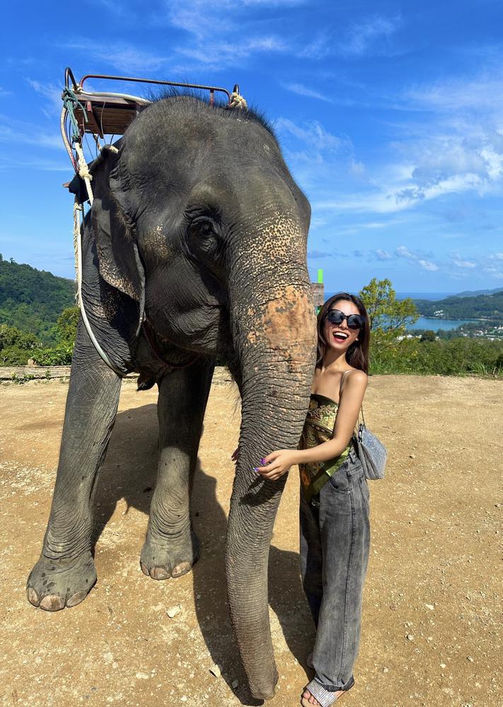 ピラティスってなにもの？