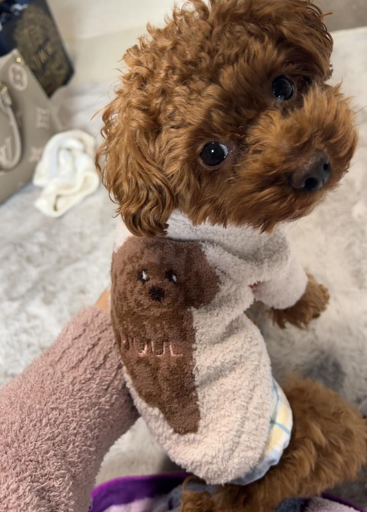 被害届って時間かかるんだね