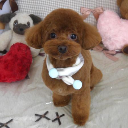 しゅーーーっきん