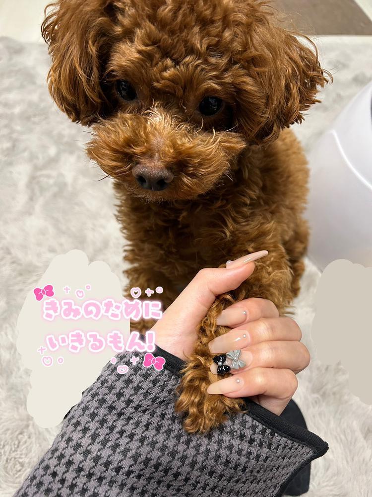 しおを見せてると思いきや