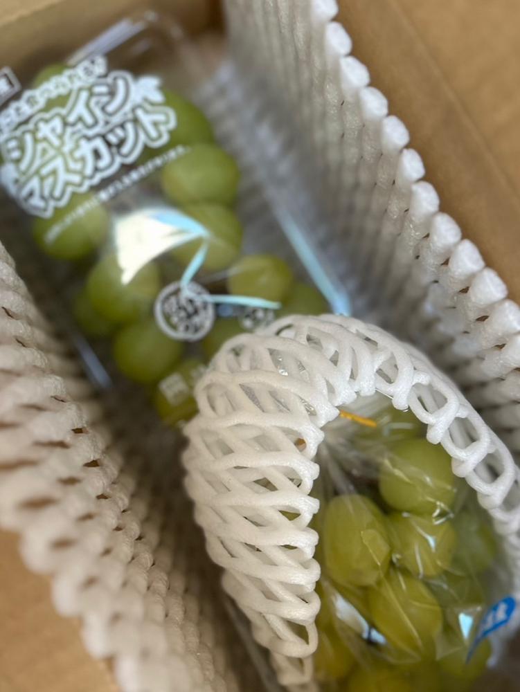 今日も今日とて