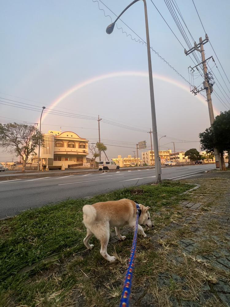 ２０時〜ラスト☺︎❣️