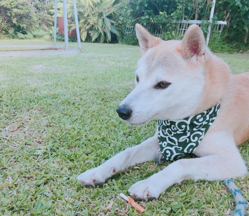 ２０時〜ラストまで🤲