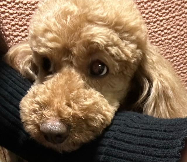 出勤しました🫶