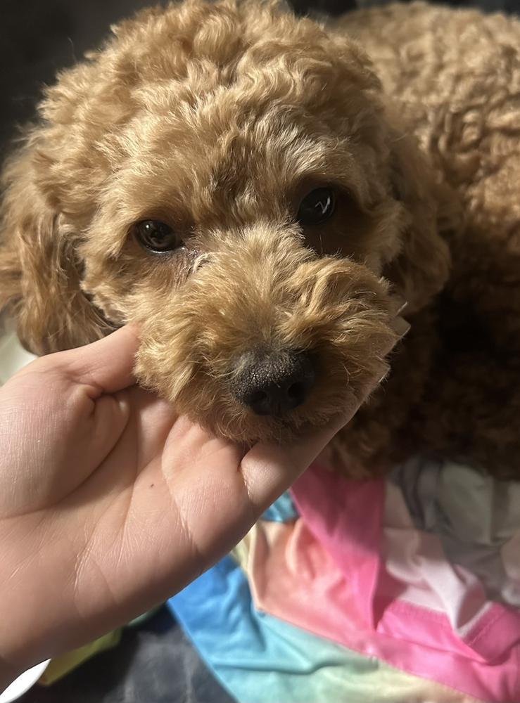 おしっこかけられた！！