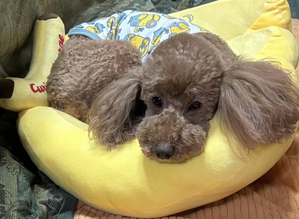 出勤しました🫶