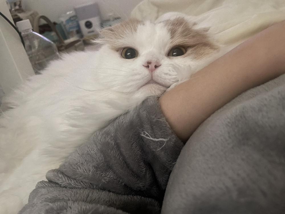 出勤です🤍🤍