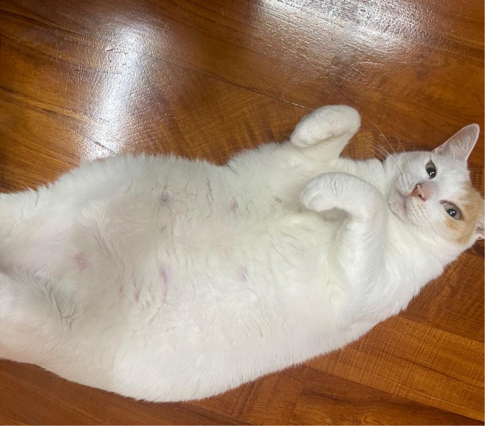 しゃきっと💪✨