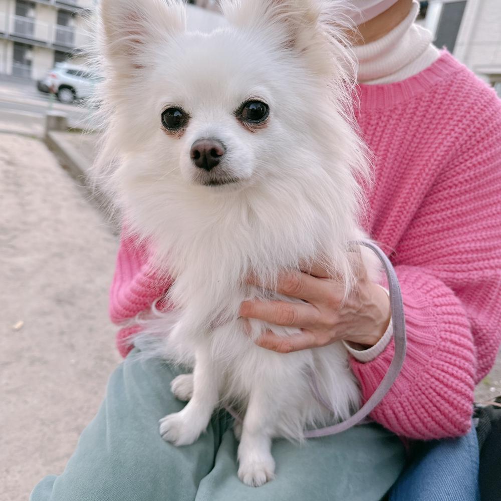 食べすぎたから痩せよ✌🏻