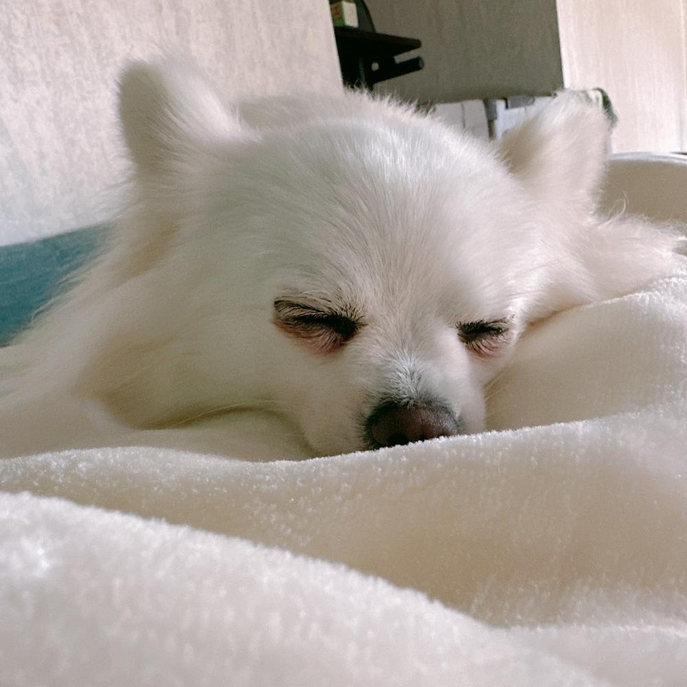 出勤だよ〰️〰️