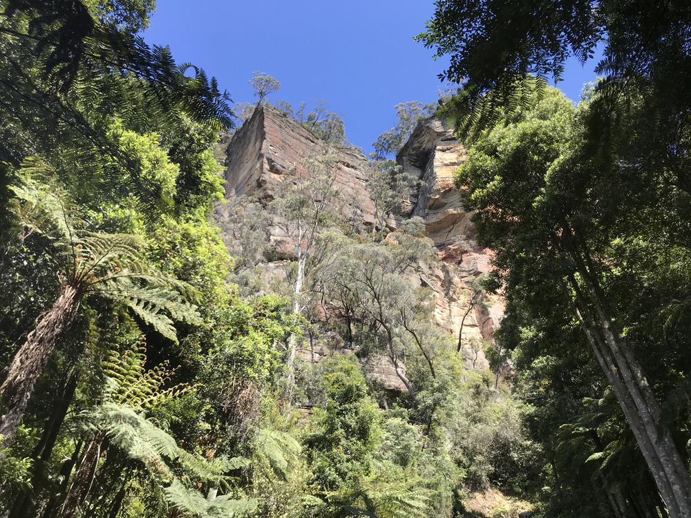 ふぁいとー！いっぱーつ！