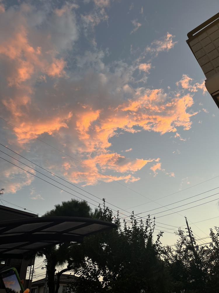 太陽こんちわっ☀️