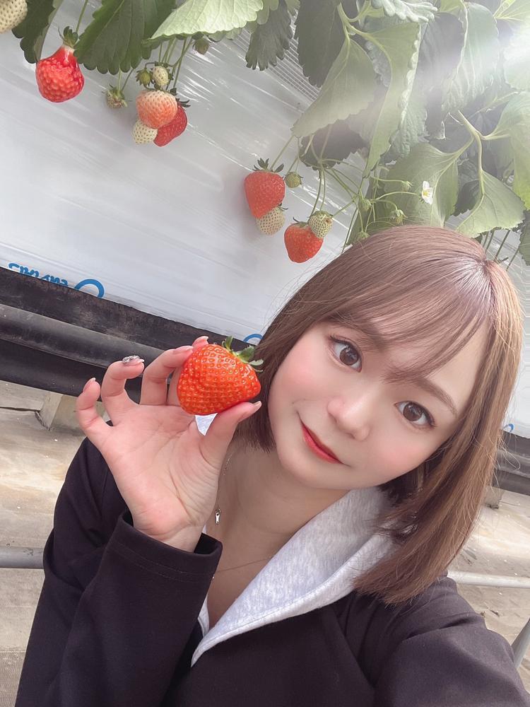 いちごって何でいちごか知ってる？🍓