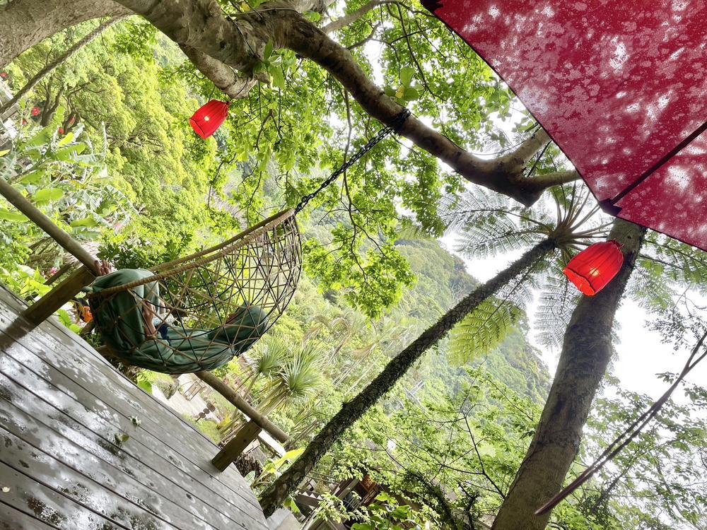 🌳✖︎🧖🏽‍♀️🟰❓