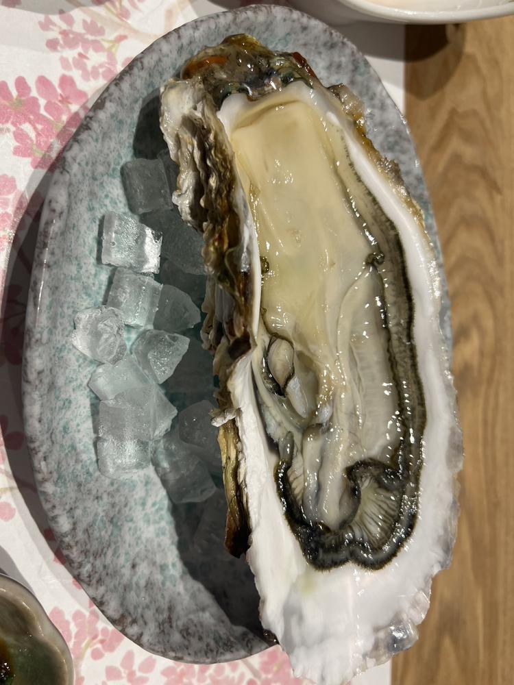大きな牡蠣🦪