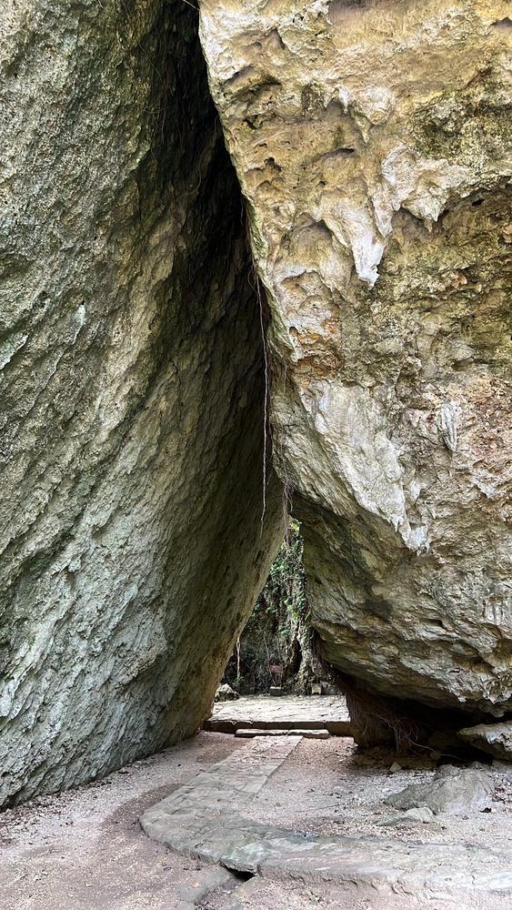 4月すたーと🪽