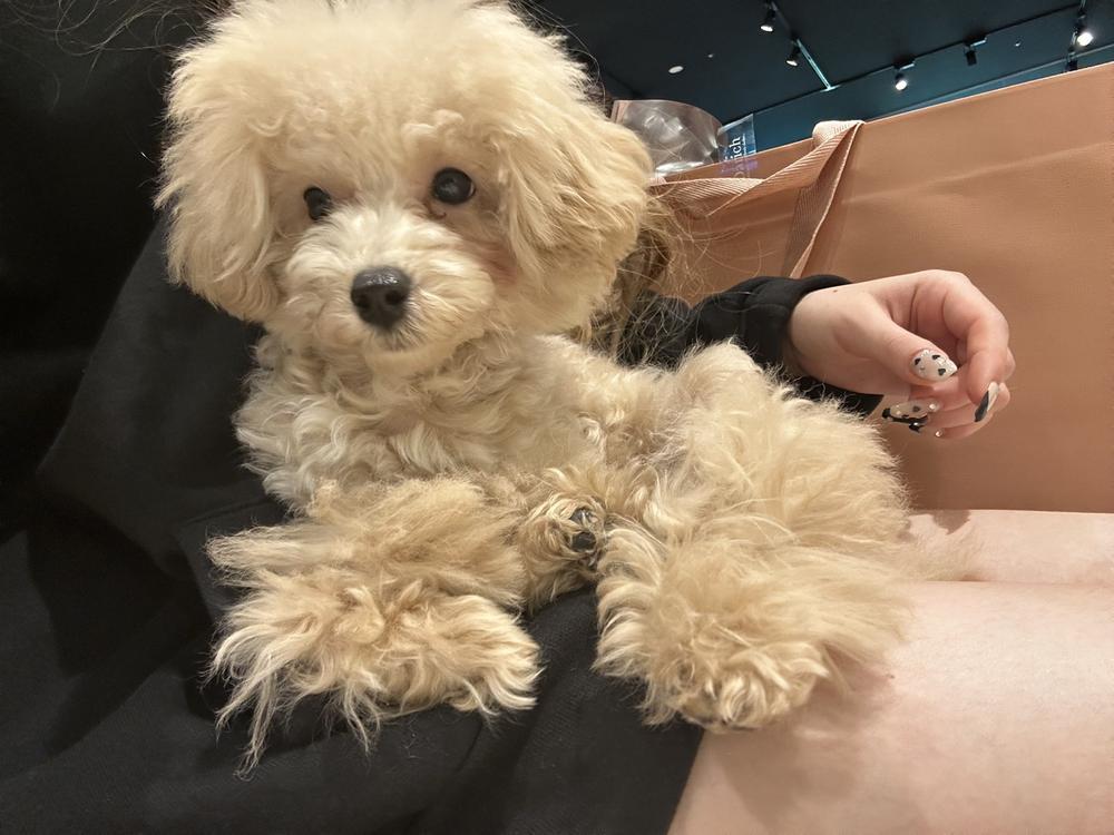 出勤しました❤️