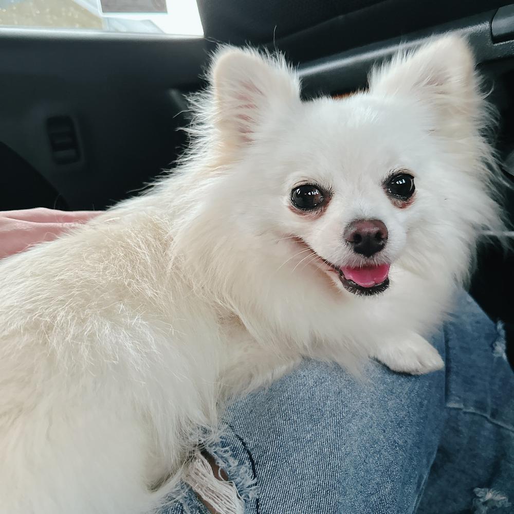 今日もゆるりと