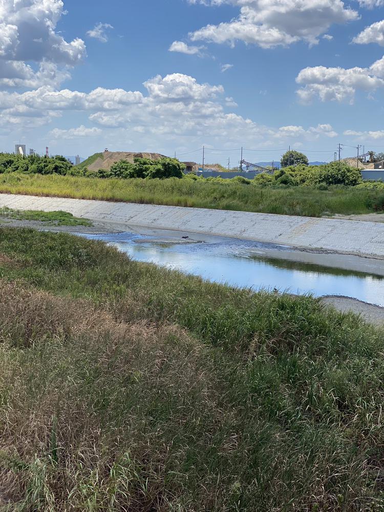 綺麗なポスターも🥹🩷