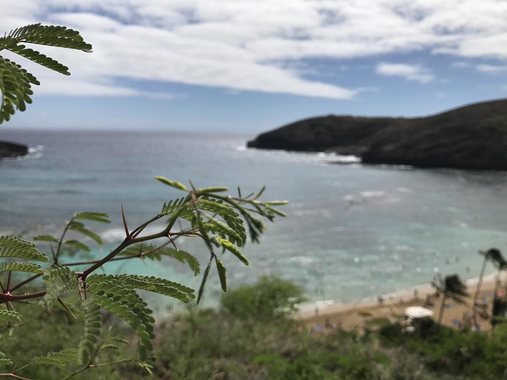 久しぶりのショッピング🛍️