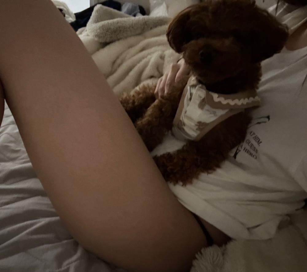 携帯無くしてた