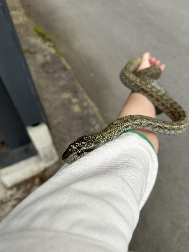 今週は今日と土曜日出勤です🫡