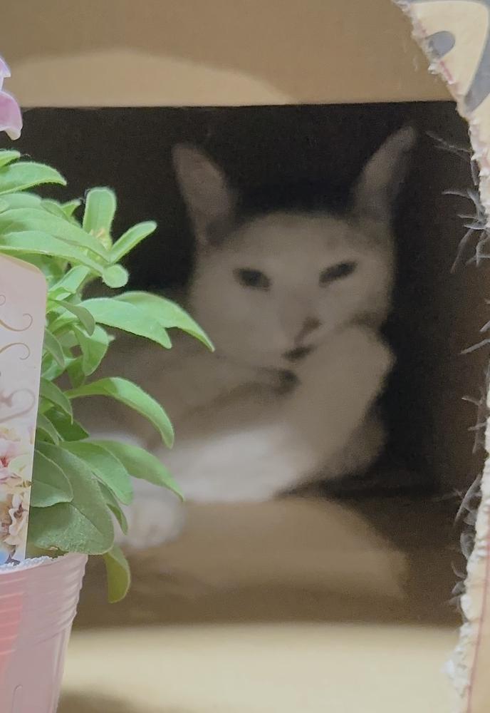 22時からいます🙆‍♀️