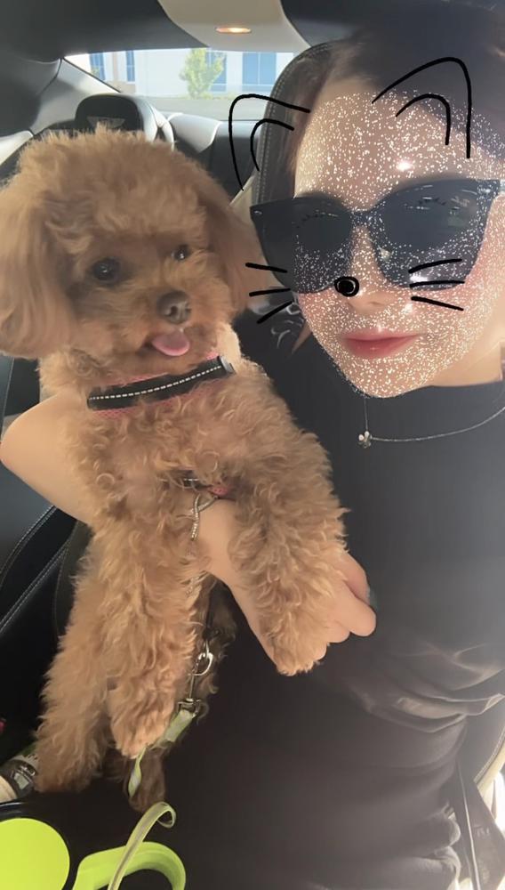 🌟🌟 出勤 🌟🌟