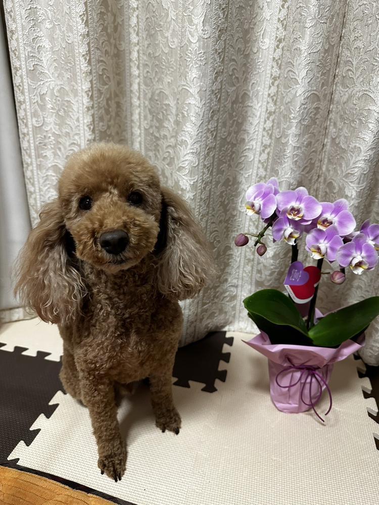 出勤しました🫶