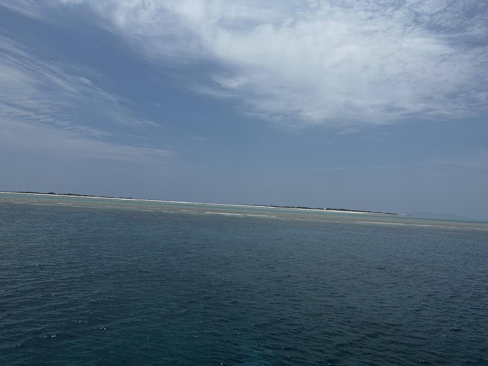 出勤しました🫶