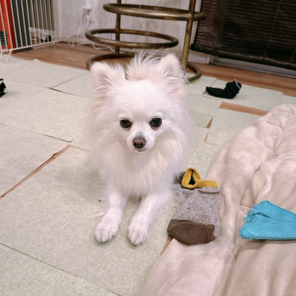 咳喘息でした😮‍💨