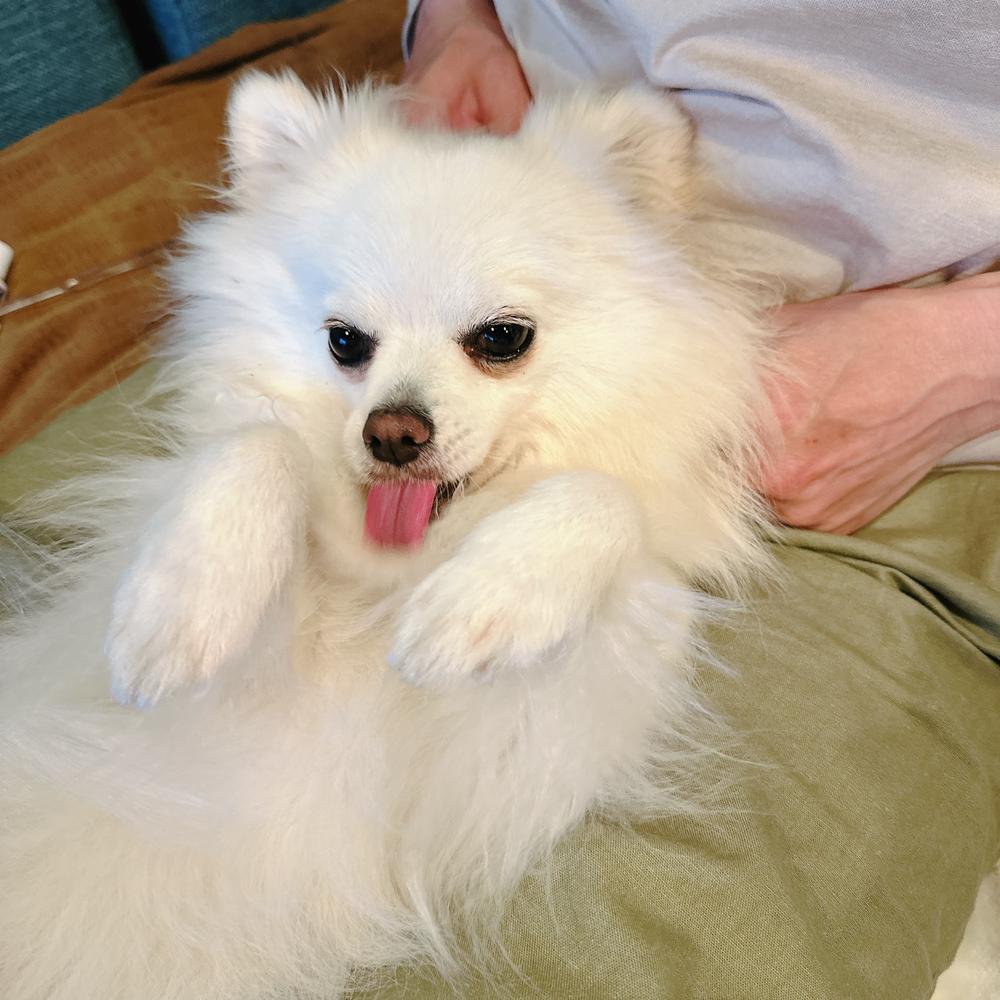 今週も始まるでー