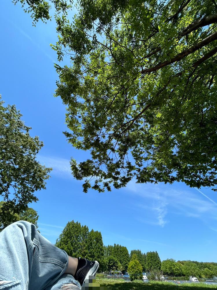 夏を待ちきれなくて♪