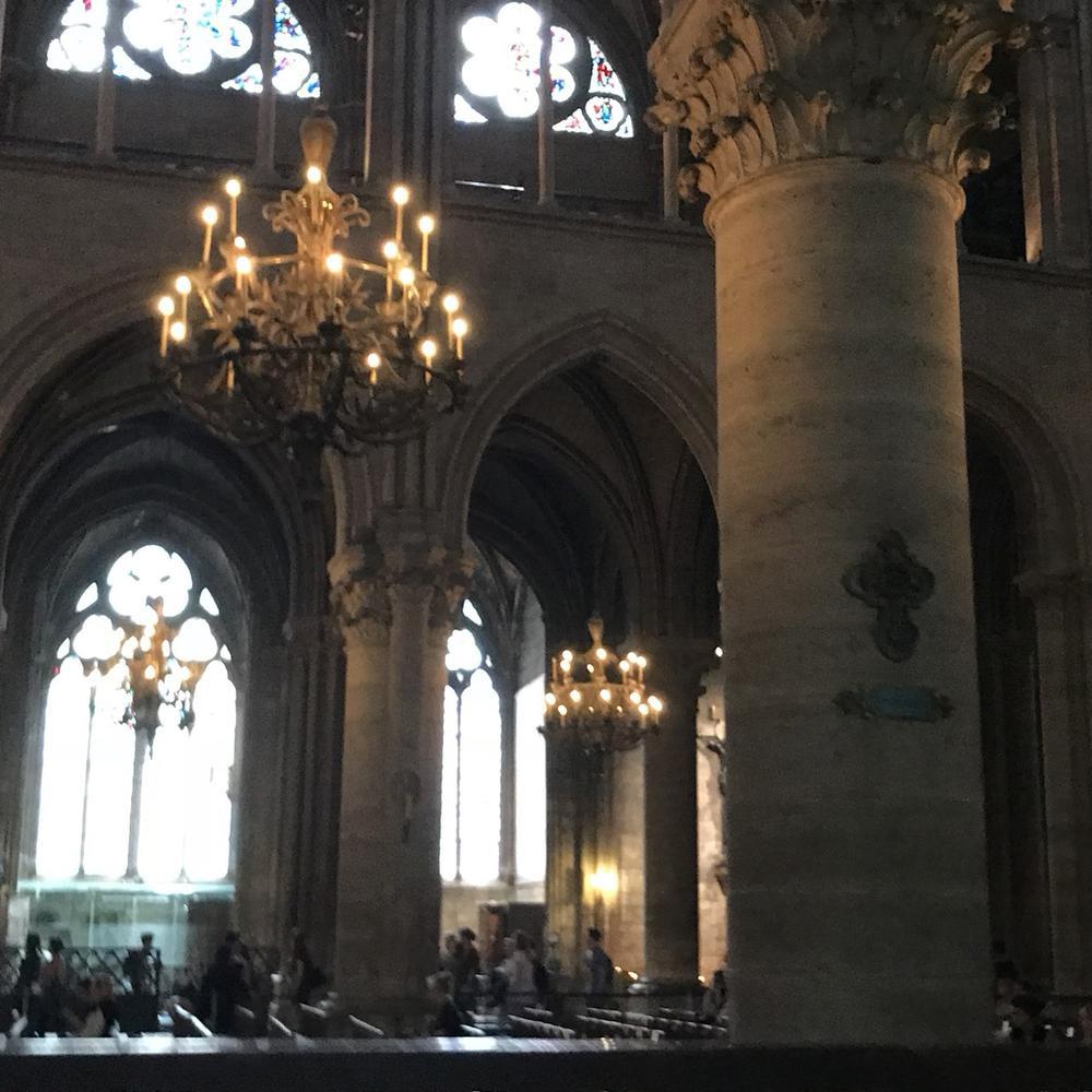 出勤です🐢✨✨